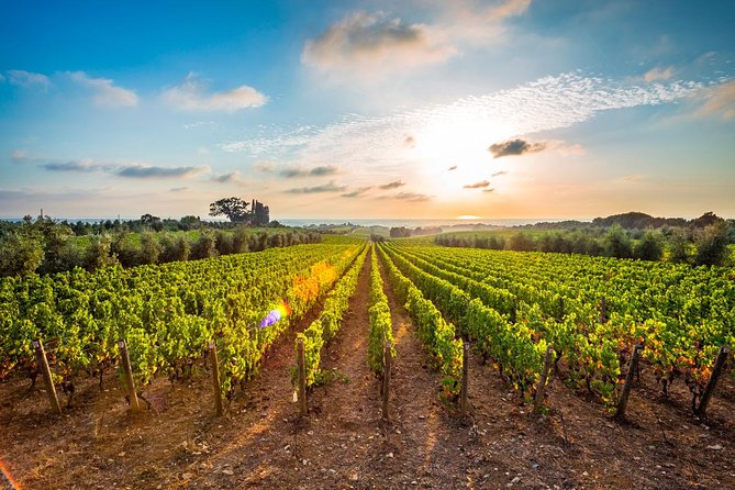 Half-Day Pizza Making Class With Wine Tour in Rome Countryside - Inclusions and Additional Info
