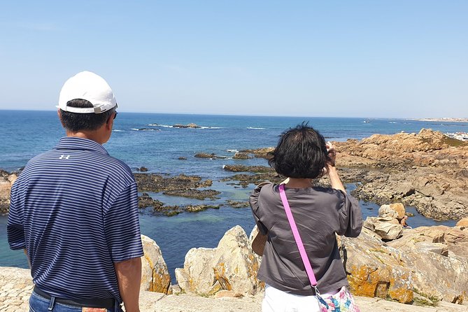 Half Day Porto and Wine Small-Group Tour With Tastings - Reviews and Contact Information