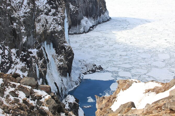 Half-Day Primeval Forest Snowshoe and Wildlife Watching Tour - End Point