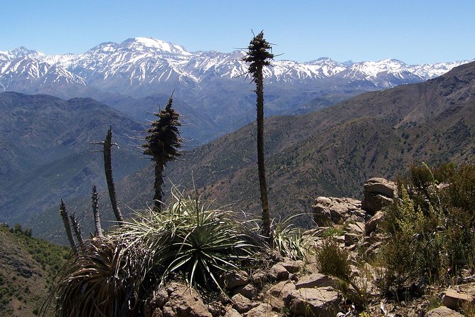 Half-Day Private Andes Hiking Tour From Santiago, Carbon Neutral. - Tour Details