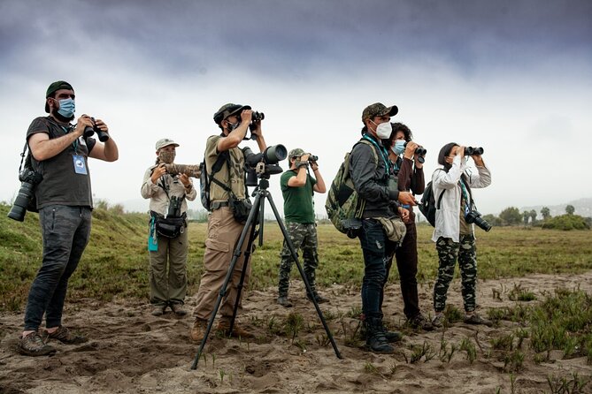 Half-Day Private Birdwatching Tour in Lima - Questions and Support