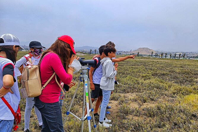 Half-Day Private Birdwatching Tour in Lima - Common Questions