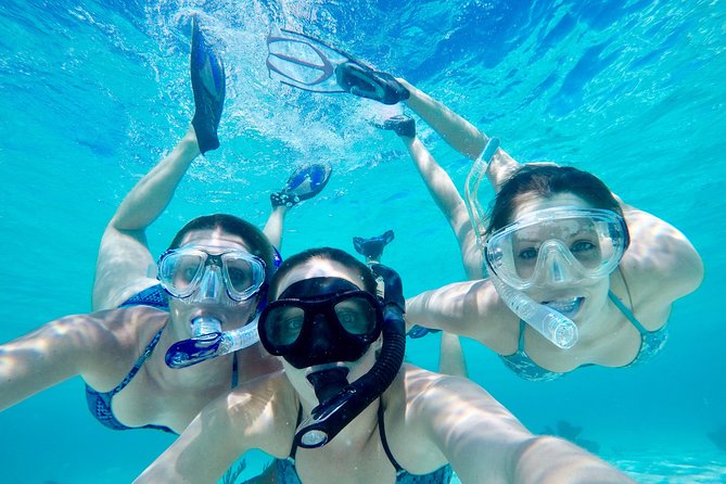 Half Day Private Boat Tour - Overview and Activities