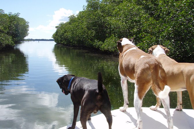 Half Day Private Boat Tour - Cancellation Policy