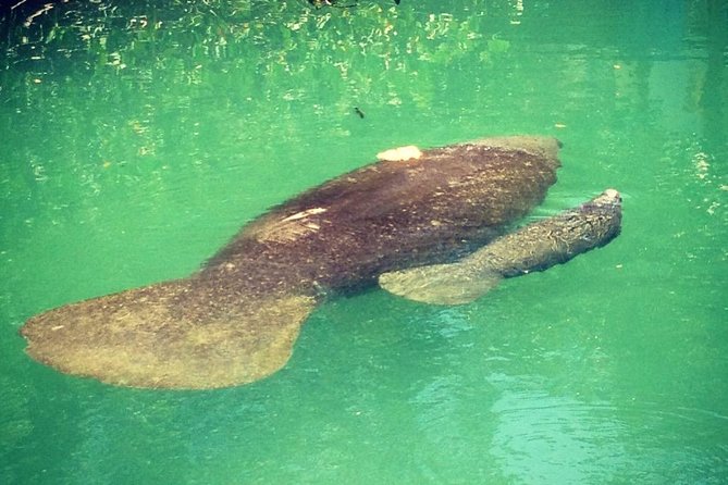 Half Day Private Boat Tour - Reviews