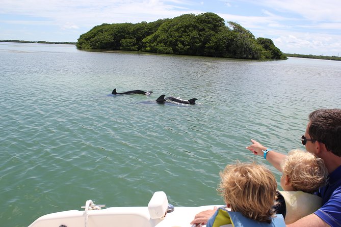 Half Day Private Boat Tour - Price and Additional Information