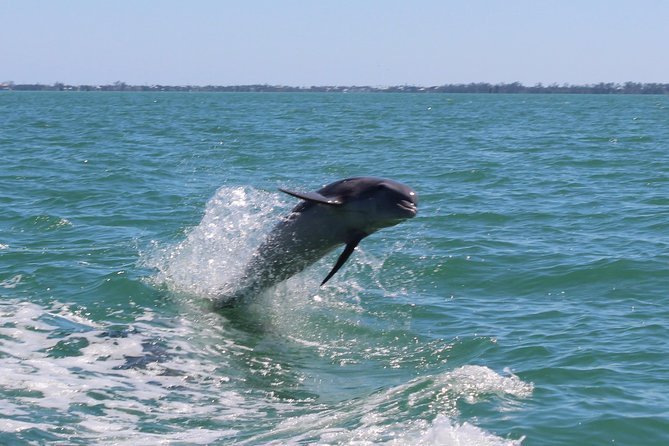 Half Day Private Boat Tour - Common Questions