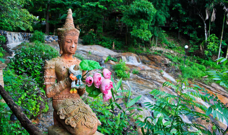 Half-day private car rental service with driver in Chiang Mai - Key points before you book