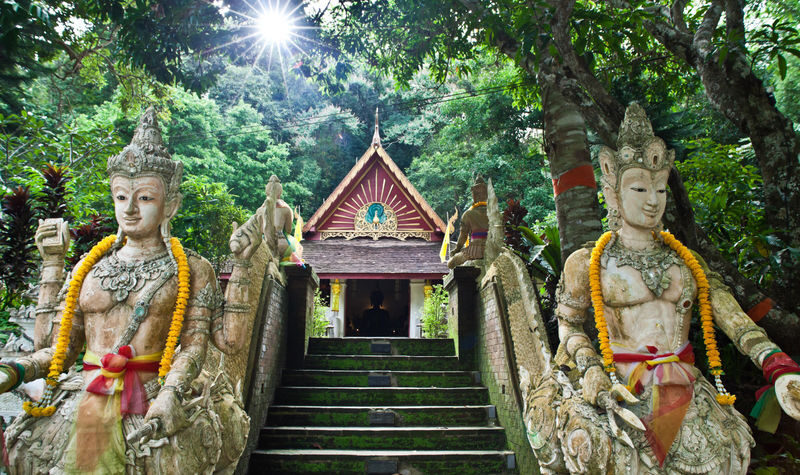 Half-day private car rental service with driver in Chiang Mai - What the price may be worth