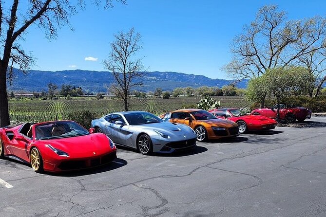 Half Day Private Champagne Wine Tour to Sonoma and Napa - Itinerary and Logistics