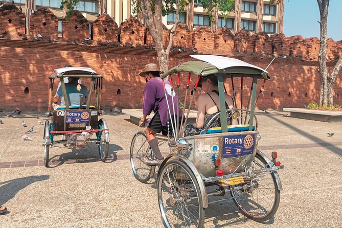 Half Day Private Chiang Mai Trishaw Ride and Mae Ping River Cruise - Tour Overview