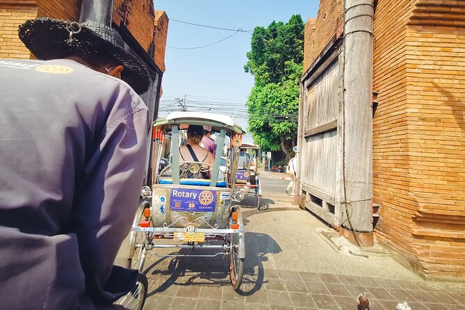 Half Day Private Chiang Mai Trishaw Ride and Mae Ping River Cruise - Mae Ping River Cruise Experience