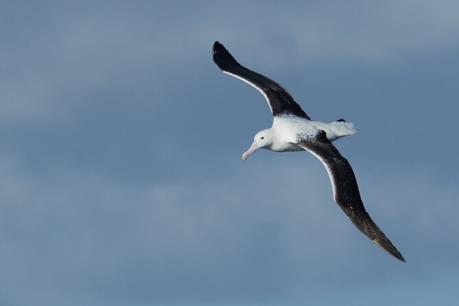 Half-Day Private City, Sights & Wildlife Tours - Cancellation Policy Information