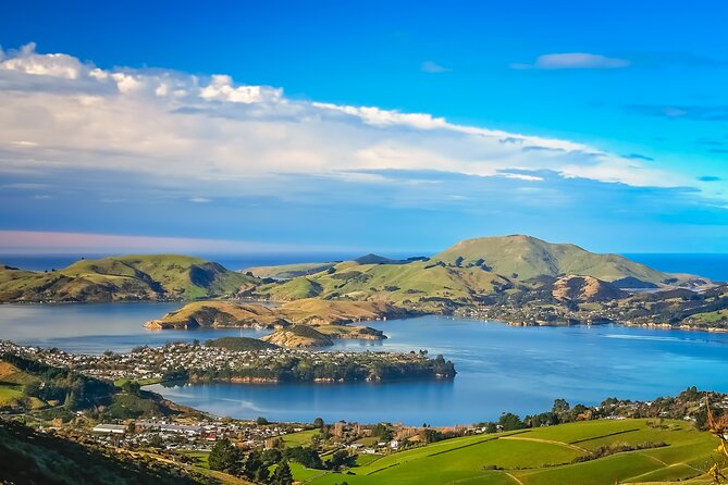 Half-Day Private City, Sights & Wildlife Tours - Traveler Photos and Reviews