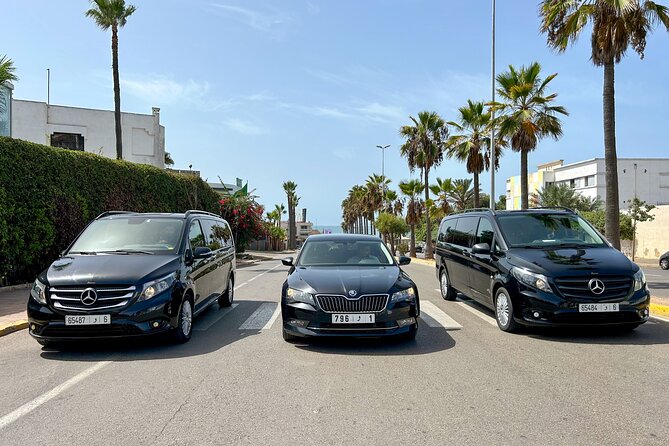 Half-Day Private City Tour in Marrakech - Accessibility Information