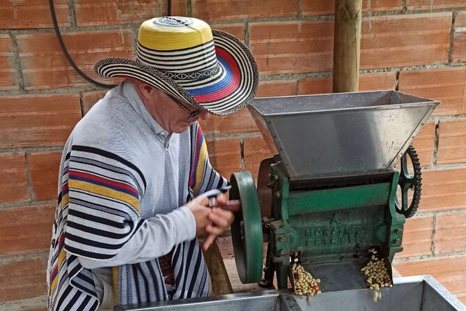 Half Day Private Coffee Tour Near Medellín - Tour Highlights
