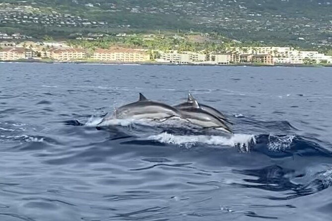 Half Day Private Cruise Tour with Snorkeling and Fishing in Kona - FAQ