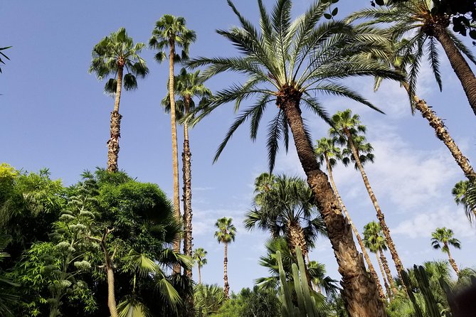 Half Day Private Cultural Tour in Medina - Good To Know