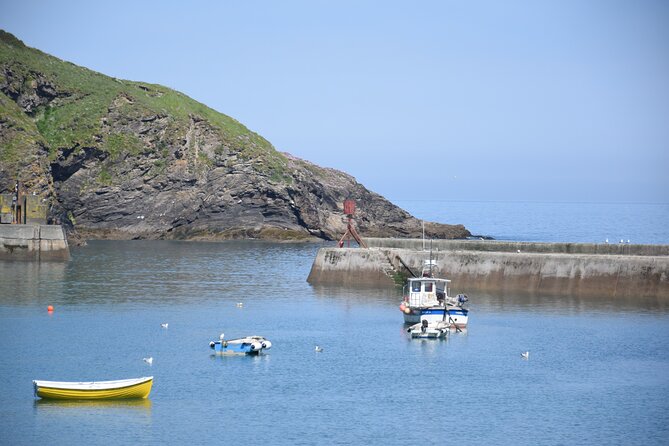 Half-Day Private Doc Martin and Fishermans Friends Tour - Inclusions
