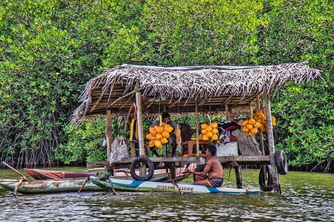 Half Day Private Exploration of the Beauty of Southern Coast - The Itinerary in Detail