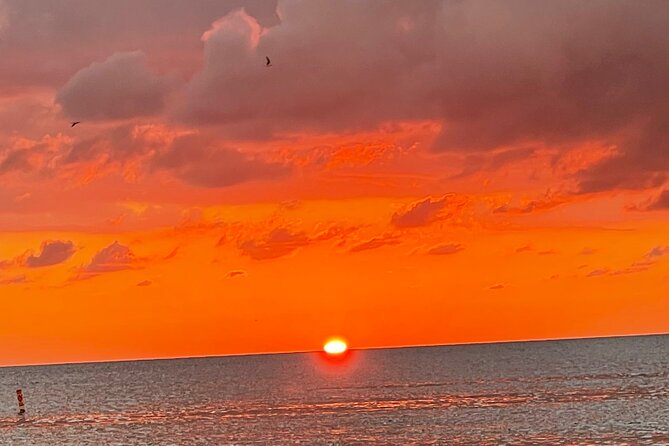 Half Day Private Fishing Trip With Site Seeing Around Anna Maria Island - Inclusions and Services