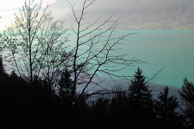 Half-Day Private Giessbach Falls and Lake Brienz From Interlaken - Overview