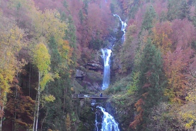 Half-Day Private Giessbach Falls and Lake Brienz From Interlaken - Price and Inclusions