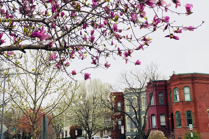Half-Day Private Guided Bike Tour in Washington - Pricing and Booking