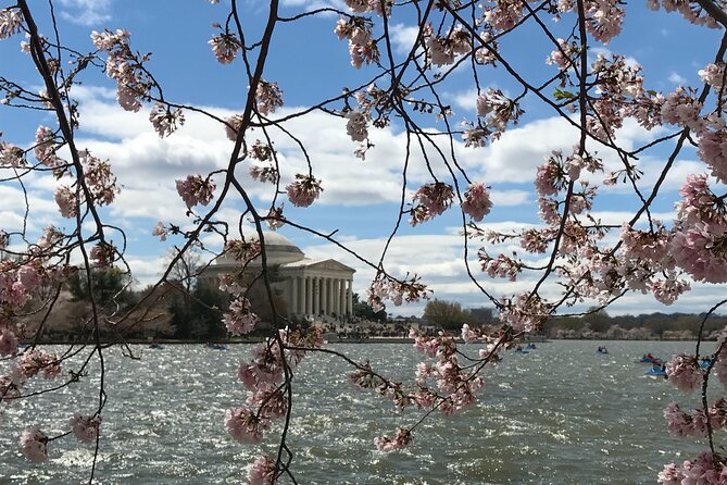 Half-Day Private Guided Bike Tour in Washington - Cancellation and Refund Policy