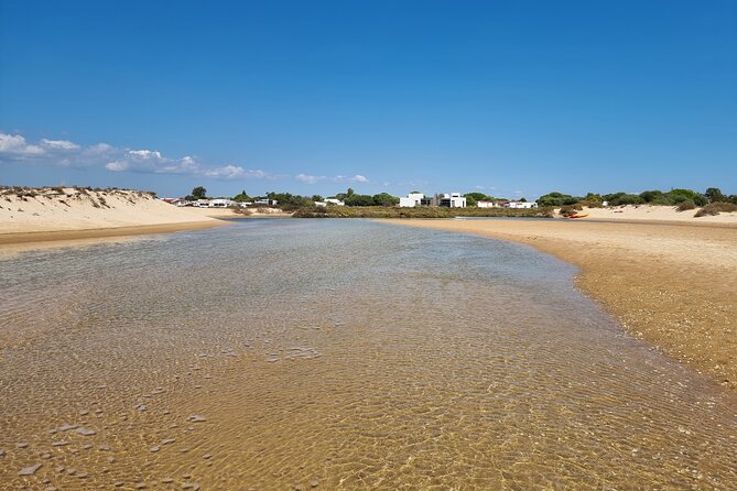 Half-Day Private Guided Kayak Island Tour - Booking Confirmation