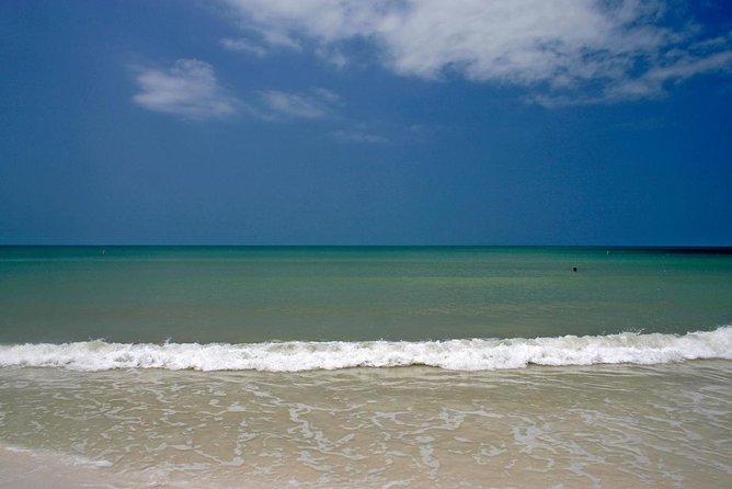 Half-Day Private Guided Nature of Florida's Gulf Coast Eco Tour - Tour Overview