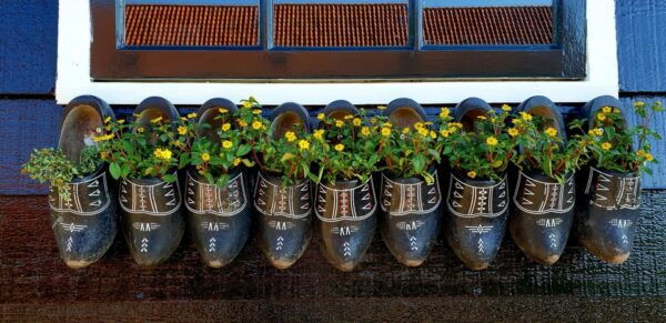 Half-Day Private Guided Sightseeing Tour of Zaanse Schans - Experiencing Traditional Crafts