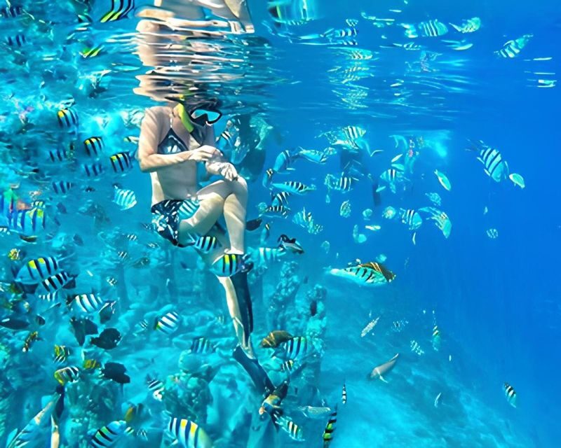 Half-Day Private Guided Snorkeling Tour in Gili Islands Lombok - Key points before you book