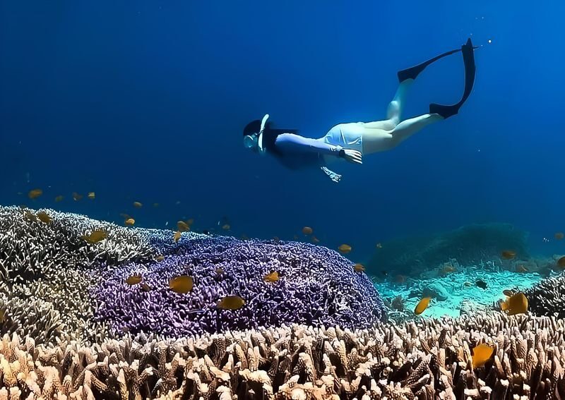 Half-Day Private Guided Snorkeling Tour in Gili Islands Lombok - Turtle Point: close encounters depend on the day
