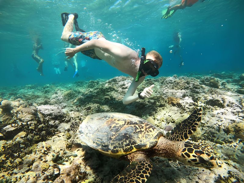 Half-Day Private Guided Snorkeling Tour in Gili Islands Lombok - What private really means here