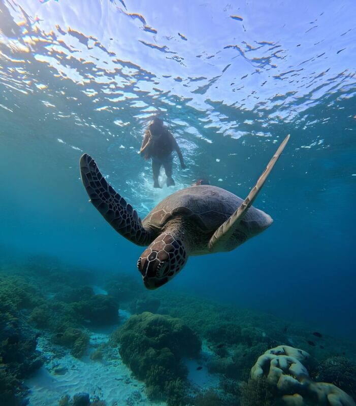 Half-Day Private Guided Snorkeling Tour in Gili Islands Lombok - Gear, GoPro photos and what to bring