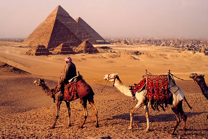 Half-Day Private Guided Tour in Cairo - Reviews Summary