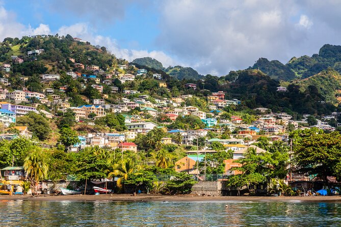 Half Day Private Guided Tour in Kingstown - Tour Pricing and Booking