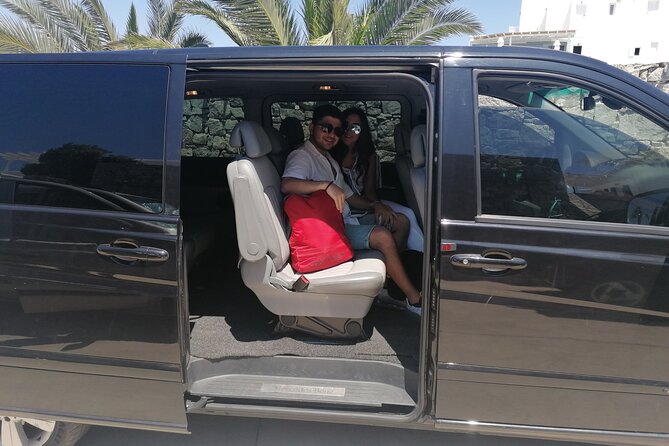 Half-Day Private Guided Tour in Mykonos - Highlights and Praise for the Tour Guide, Driver, and Mykonos Drive