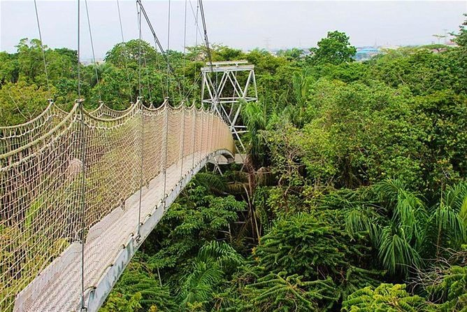 Half-Day Private Guided Tour of Lekki Conservation Centre - Good To Know