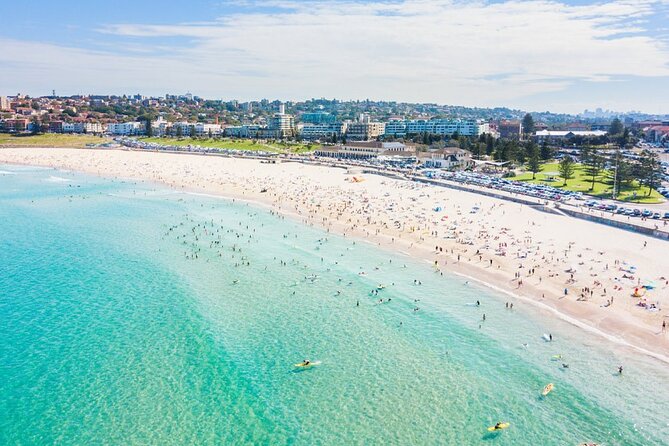 Half-Day Private Guided Tour of Sydney - Private Tour Guide