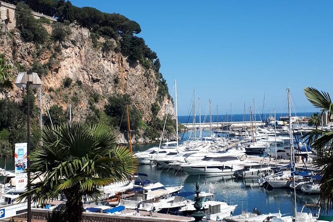Half-Day Private Guided Tour of the French Riviera - Expert Guides