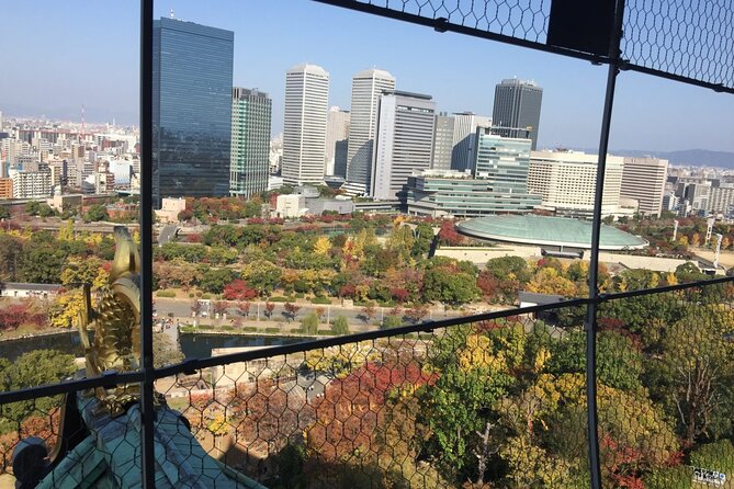 Half-Day Private Guided Tour to Osaka Castle - Accessibility and Services