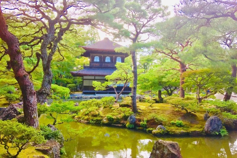 Half-Day Private Guided Tour to the Silver Pavilion in Kyoto - A route that links Kyoto’s old and newer stories