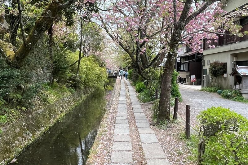 Half-Day Private Guided Tour to the Silver Pavilion in Kyoto - Nanzen-ji: a quiet pause at a major Zen temple