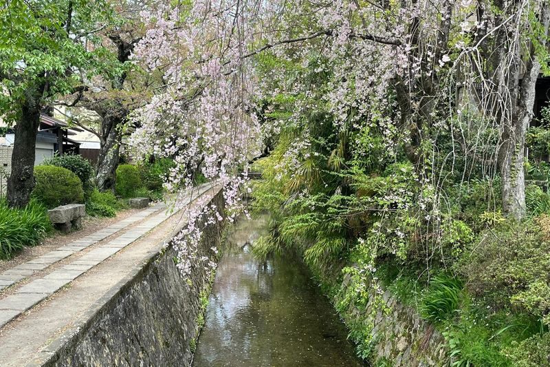 Half-Day Private Guided Tour to the Silver Pavilion in Kyoto - The Philosopher’s Path: a scenic link between temples