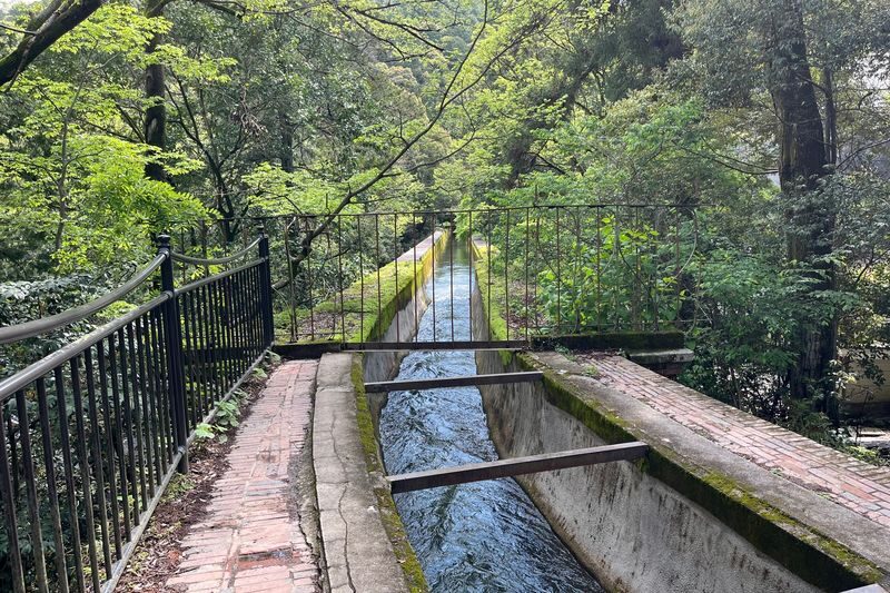 Half-Day Private Guided Tour to the Silver Pavilion in Kyoto - What the price includes, and what to confirm