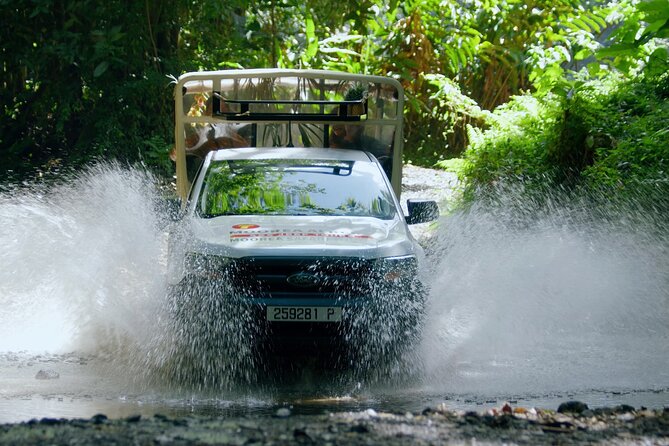 Half-Day Private Highlights Tour by 4x4, Moorea - Traveler Photos and Featured Review