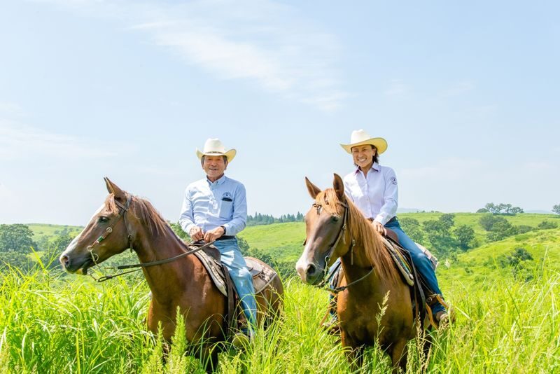 Half-day private horseback riding experience at Aso Daikanbo - What to know before you go