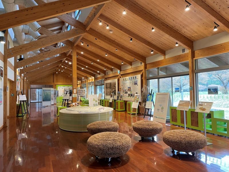 Half-day private horseback riding experience at Aso Daikanbo - The Grassland Learning Center adds context